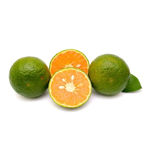 Limon mandarina
